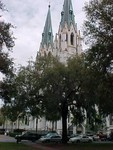 Highlight for Album: Savannah 2006